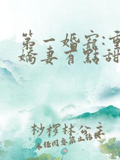 第一婚宠:重生娇妻有点甜