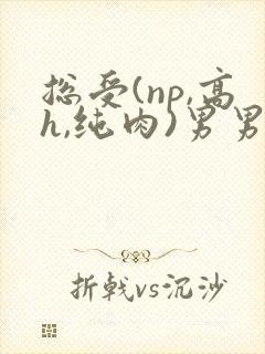 总受(np,高h,纯肉)男男