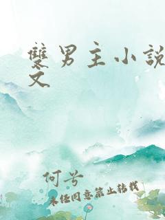 双男主小说总受文