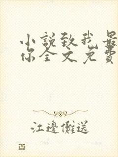 小说致我最爱的你全文免费阅读