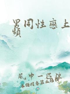 男同性恋上床视频