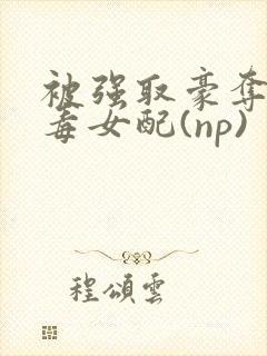 被强取豪夺的恶毒女配(np)