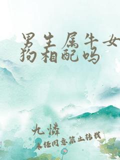 男生属牛女生属狗相配吗