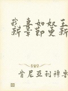 我妻如奴王琳最新章节更新