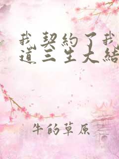 我契约了我自己道三生大结局免费阅读