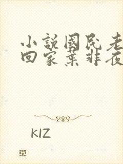 小说国民老公带回家叶非夜