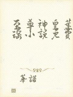 至尊神皇叶尘池瑶小说免费