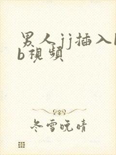 男人jj插入bb视频