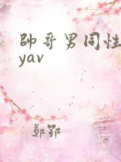 帅哥男同性gayav