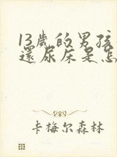 13岁的男孩子还尿床是怎么回事