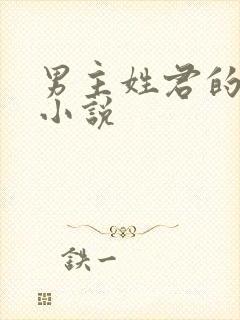 男主姓君的现代小说