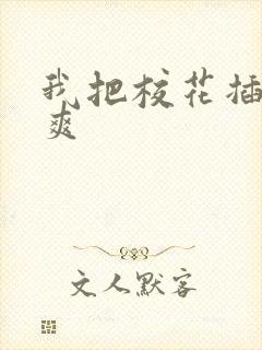 我把校花插的好爽