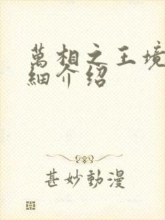 万相之王境界详细介绍