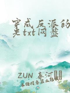 穿成反派的黑月光txt网盘