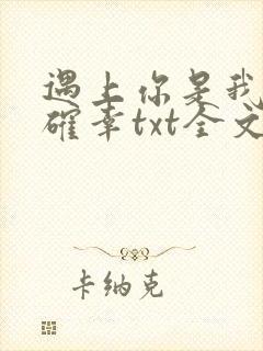 遇上你是我的小确幸txt全文下载