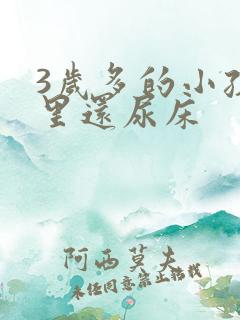 3岁多的小孩夜里还尿床