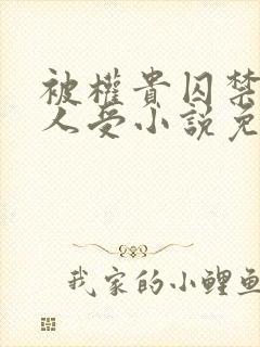 被权贵囚禁的美人受小说免费阅读下