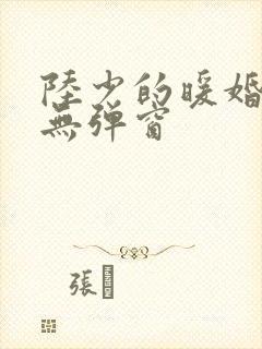 陆少的暖婚新妻无弹窗