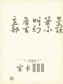 主角叫萧晨的全部玄幻小说