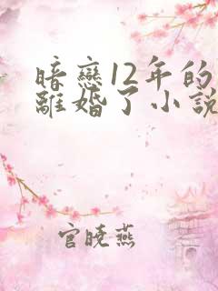 暗恋12年的他离婚了小说
