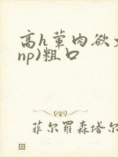 高h荤肉欲文(np)粗口