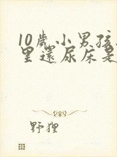 10岁小男孩夜里还尿床是怎么回事