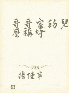 哥哥家的儿子怎么称呼