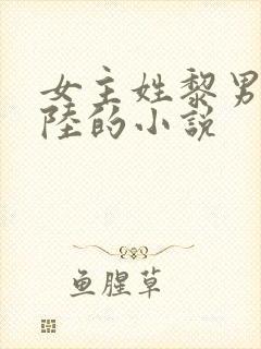 女主姓黎男主姓陆的小说