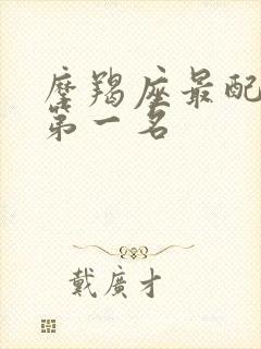 摩羯座最配星座第一名