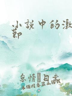 小说中的激情章节