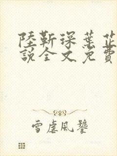 陆靳琛叶芷榆小说全文免费阅读全文