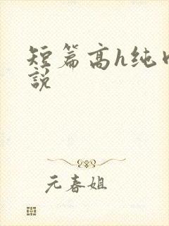 短篇高h纯肉小说