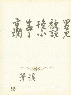 重生后被男神们烂了小说免费阅读