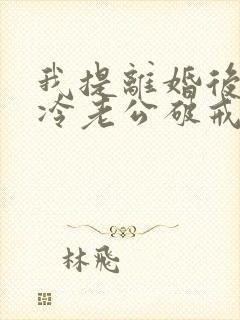 我提离婚后,清冷老公破戒了