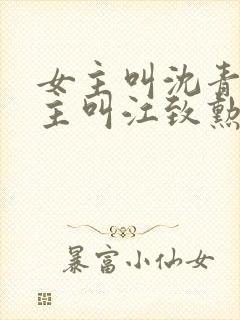 女主叫沈青青男主叫江致勋的小说