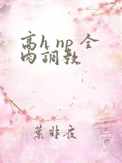 高h np 全肉调教