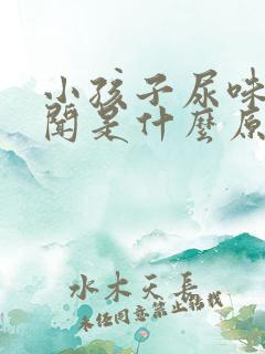 小孩子尿味大难闻是什么原因