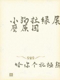 小狗拉绿屎是什么原因