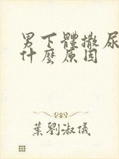 男下体撒尿会痛什么原因