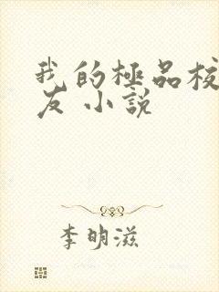 我的极品校花女友 小说