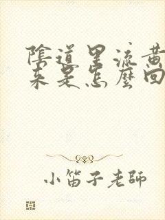 阴道里流黄水出来是怎么回事