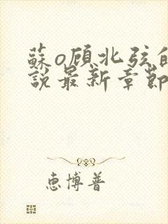 苏o顾北弦的小说最新章节免费阅读