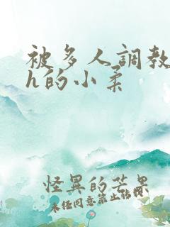 被多人调教失禁h的小柔