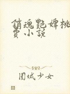 销魂艳婢桃儿免费小说