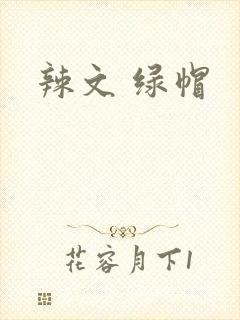辣文 绿帽