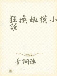 狂操嫩模小逼小说