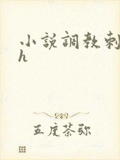 小说调教刺激高h