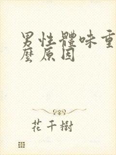 男性体味重是什么原因