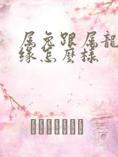 属兔跟属龙的姻缘怎么样