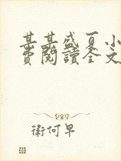某某盛夏小说免费阅读全文